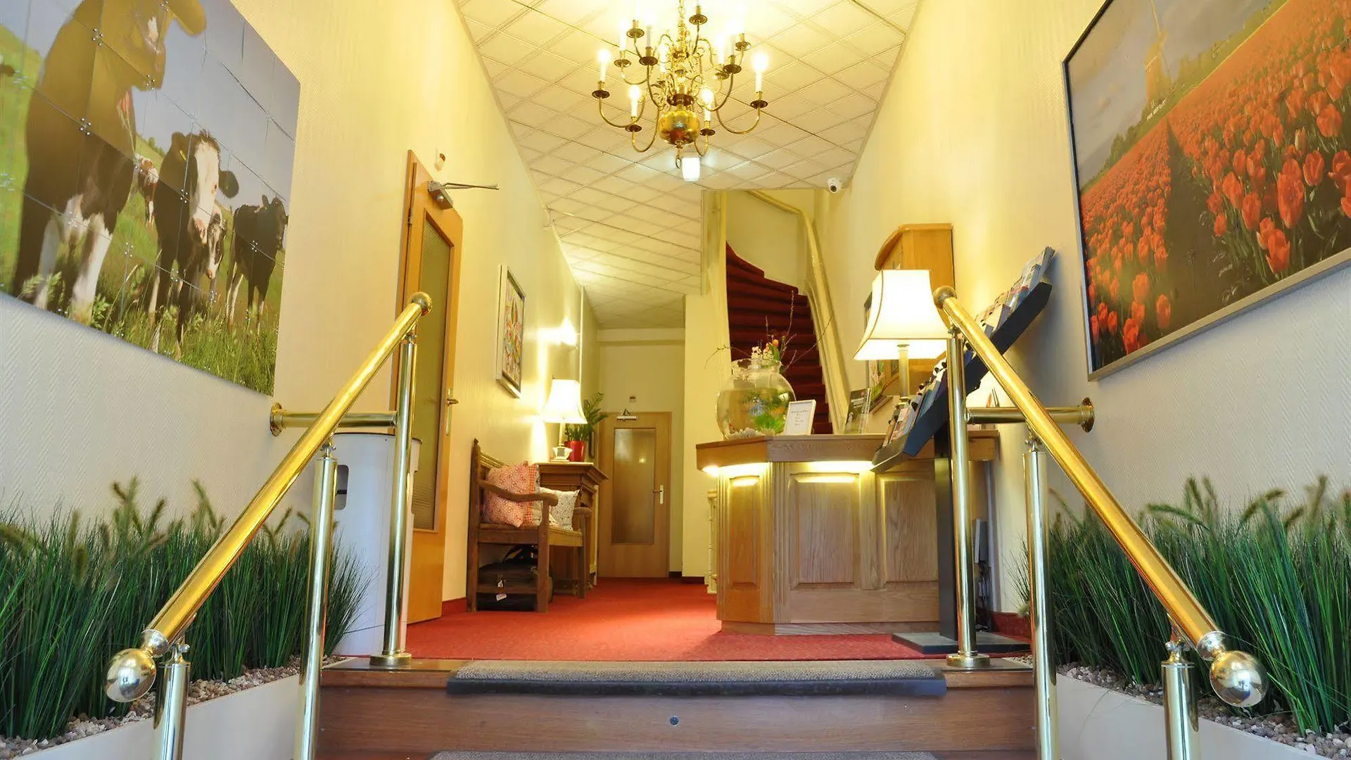 ***  אמסטרדם Hotel Fita הולנד